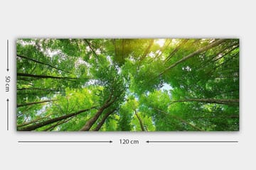 Canvastavla YTY Landscape & Nature Flerfärgad - 120x50 cm - Inredning - Tavlor & posters - Canvastavla