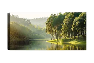 Canvastavla YTY Landscape & Nature Flerfärgad - 120x50 cm - Inredning - Tavlor & posters - Canvastavla