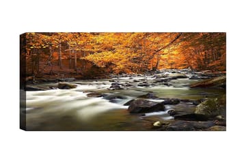 Canvastavla YTY Landscape & Nature Flerfärgad - 120x50 cm - Inredning - Tavlor & posters - Canvastavla