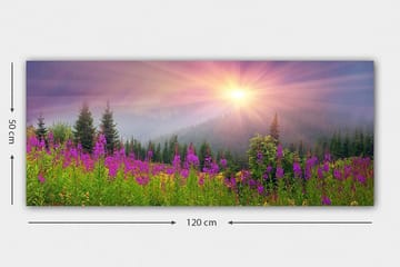Canvastavla YTY Landscape & Nature Flerfärgad - 120x50 cm - Inredning - Tavlor & posters - Canvastavla