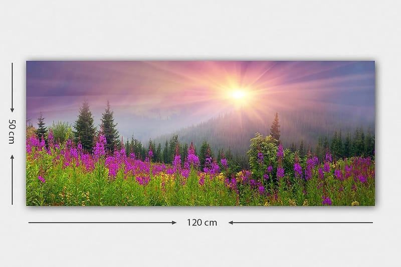 Canvastavla YTY Landscape & Nature Flerfärgad - 120x50 cm - Inredning - Tavlor & posters - Canvastavla