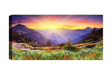 Canvastavla YTY Landscape & Nature Flerfärgad - 120x50 cm - Inredning - Tavlor & posters - Canvastavla