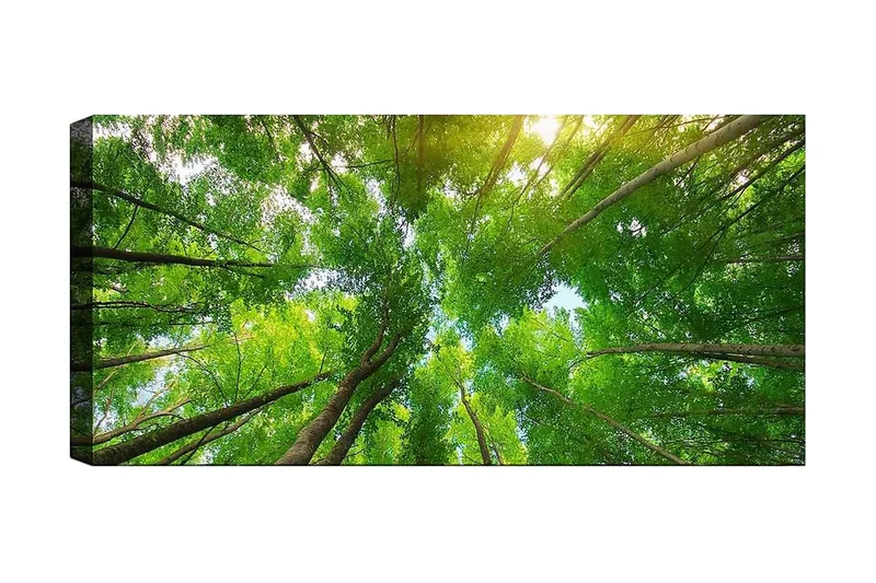 Canvastavla YTY Landscape & Nature Flerfärgad, 120x50 cm