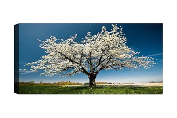 Canvastavla YTY Landscape & Nature Flerfärgad - 120x50 cm - Inredning - Tavlor & posters - Canvastavla