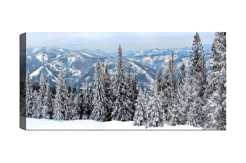 Canvastavla YTY Landscape & Nature Flerfärgad, 120x50 cm