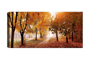 Canvastavla YTY Landscape & Nature Flerfärgad - 120x50 cm - Inredning - Tavlor & posters - Canvastavla