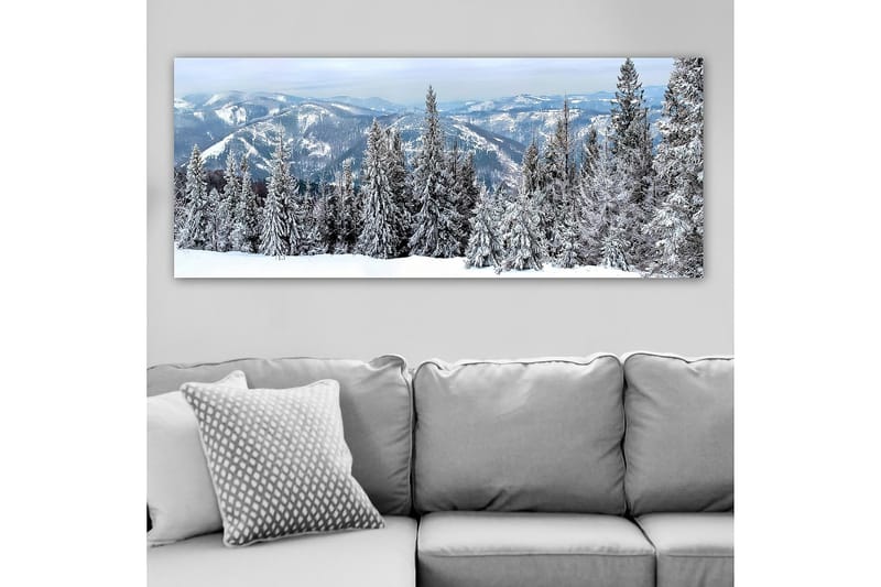 Canvastavla YTY Landscape & Nature Flerfärgad - 120x50 cm - Inredning - Tavlor & posters - Canvastavla