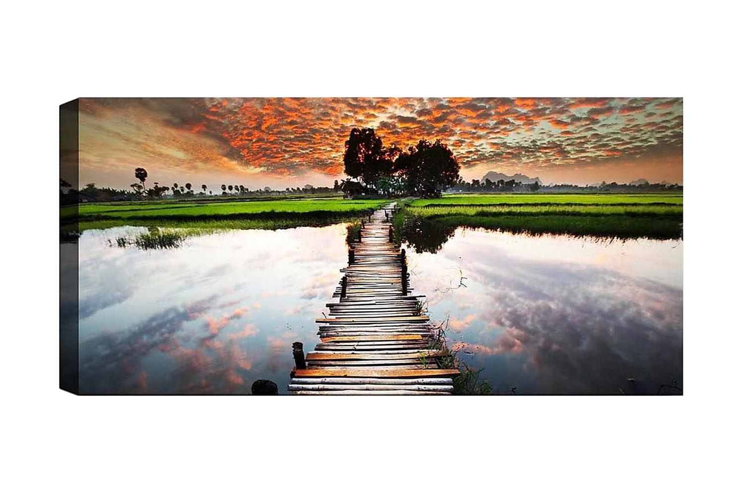 Canvastavla YTY Landscape & Nature Flerfärgad - 120x50 cm