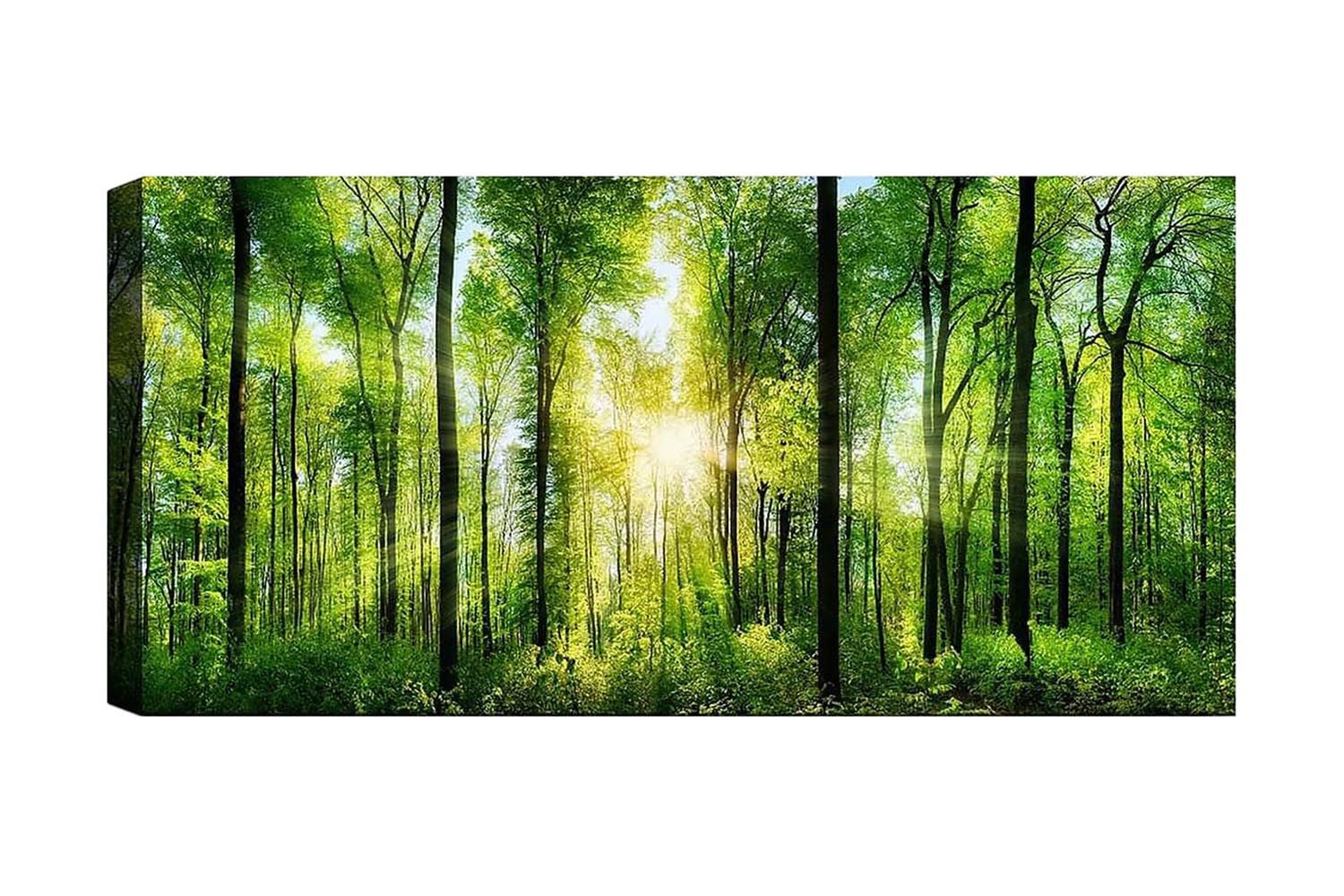 Canvastavla YTY Landscape & Nature Flerfärgad - 120x50 cm