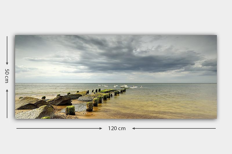 Canvastavla YTY Nautical & Beach Flerfärgad - 120x50 cm - Inredning - Tavlor & posters - Canvastavla