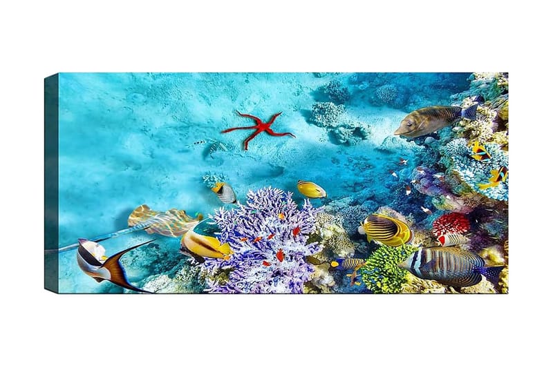 Canvastavla YTY Nautical & Beach Flerfärgad - 120x50 cm - Inredning - Tavlor & posters - Canvastavla