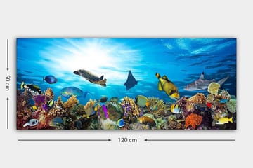 Canvastavla YTY Nautical & Beach Flerfärgad - 120x50 cm - Inredning - Tavlor & posters - Canvastavla