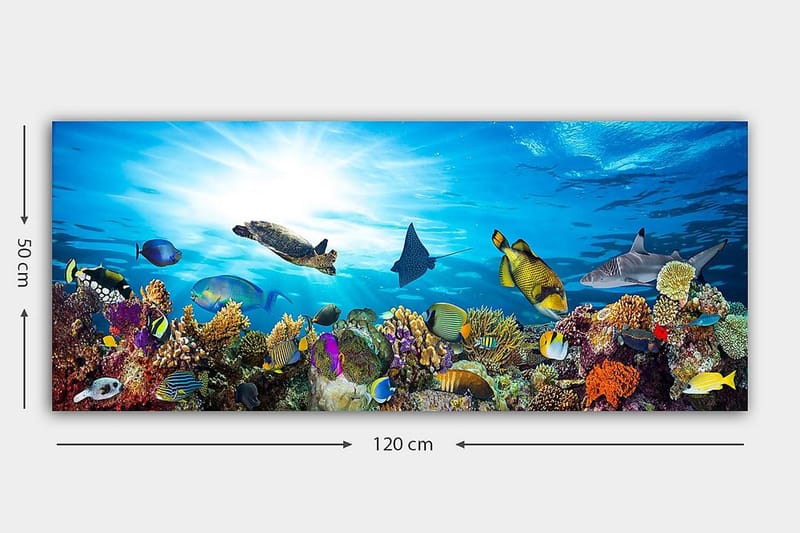 Canvastavla YTY Nautical & Beach Flerfärgad - 120x50 cm - Inredning - Tavlor & posters - Canvastavla