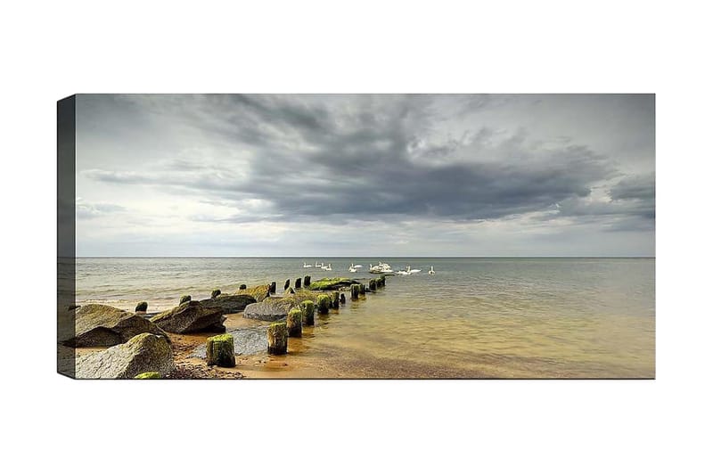 Canvastavla YTY Nautical & Beach Flerfärgad, 120x50 cm