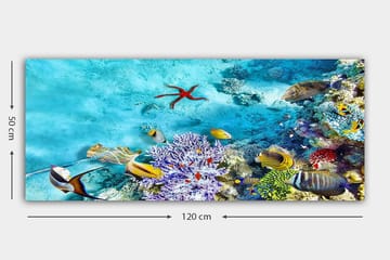 Canvastavla YTY Nautical & Beach Flerfärgad - 120x50 cm - Inredning - Tavlor & posters - Canvastavla