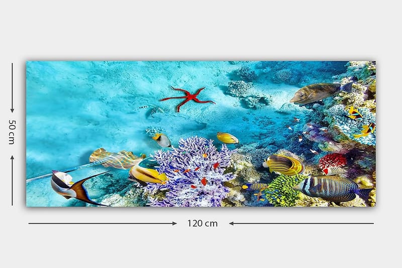 Canvastavla YTY Nautical & Beach Flerfärgad - 120x50 cm - Inredning - Tavlor & posters - Canvastavla