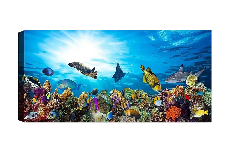 Canvastavla YTY Nautical & Beach Flerfärgad, 120x50 cm