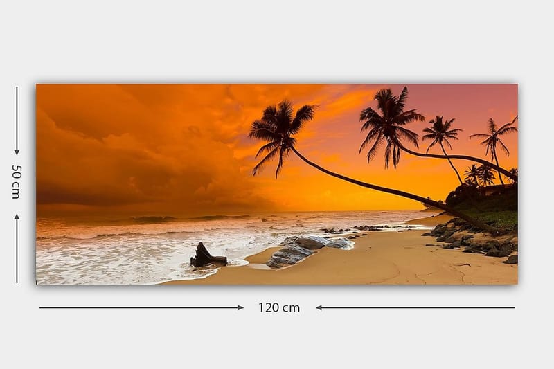 Canvastavla YTY Nautical & Beach Flerfärgad - 120x50 cm - Inredning - Tavlor & posters - Canvastavla