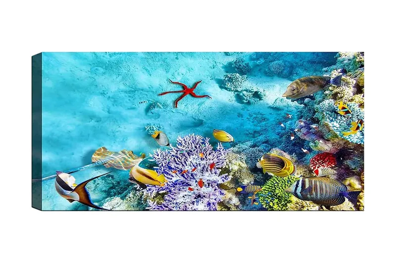 Canvastavla YTY Nautical & Beach Flerfärgad, 120x50 cm