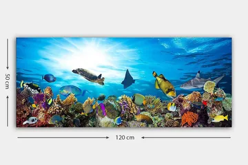 Canvastavla YTY Nautical & Beach Flerfärgad - 120x50 cm - Inredning - Tavlor & posters - Canvastavla