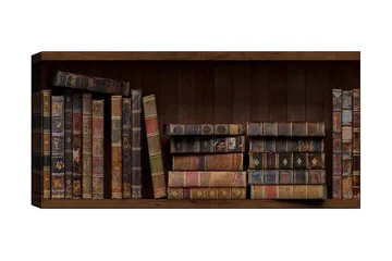 Canvastavla YTY Reading and Literature Flerfärgad - 120x50 cm - Inredning - Tavlor & posters - Canvastavla