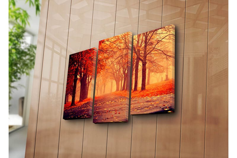 Dekorativ Canvasmålning 3 Delar - Flerfärgad - Inredning - Tavlor & posters - Canvastavla