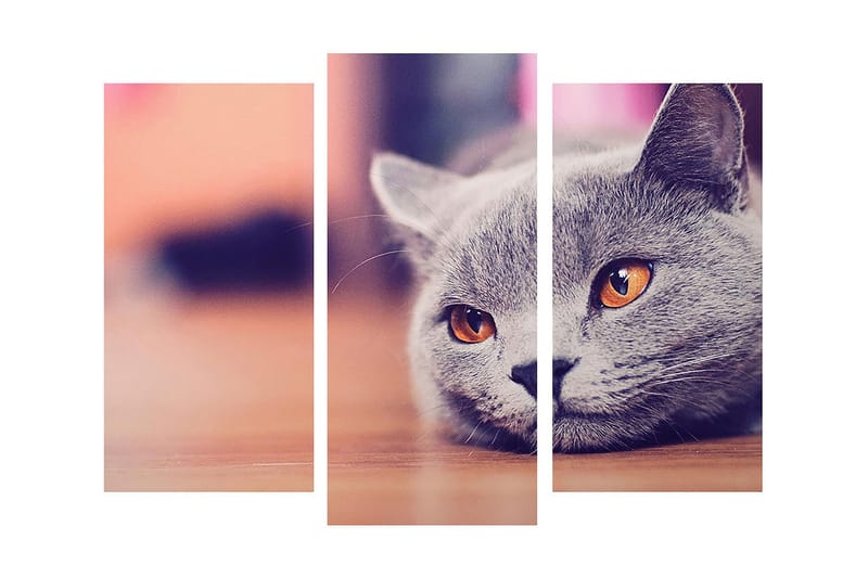 Dekorativ Canvasmålning 3 Delar - Flerfärgad - Inredning - Tavlor & posters - Canvastavla