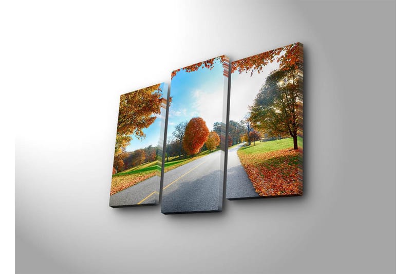 Dekorativ Canvasmålning 3 Delar - Flerfärgad - Inredning - Tavlor & posters - Canvastavla