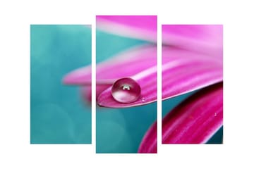 Dekorativ Canvasmålning 3 Delar - Flerfärgad - Inredning - Tavlor & posters - Canvastavla