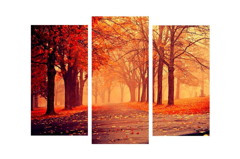 Dekorativ Canvasmålning 3 Delar - Flerfärgad - Inredning - Tavlor & posters - Canvastavla