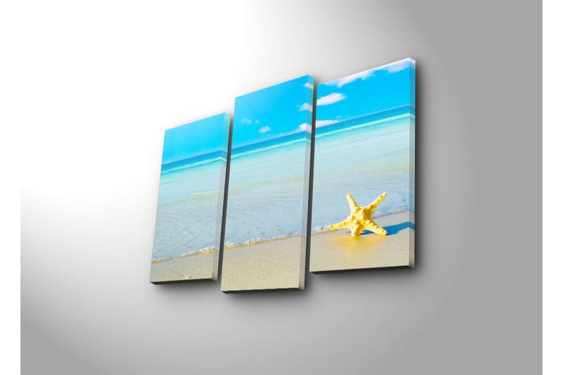 Dekorativ Canvasmålning 3 Delar - Flerfärgad - Inredning - Tavlor & posters - Canvastavla