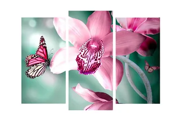 Dekorativ Canvasmålning 3 Delar - Flerfärgad - Inredning - Tavlor & posters - Canvastavla