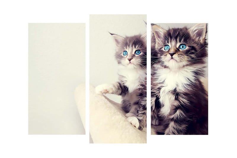 Dekorativ Canvasmålning 3 Delar - Flerfärgad - Inredning - Tavlor & posters - Canvastavla