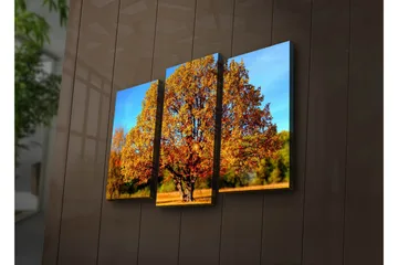 Dekorativ Canvasmålning LED-belysning 3 Delar - Flerfärgad - Inredning - Tavlor & posters - Canvastavla