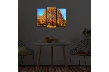 Dekorativ Canvasmålning LED-belysning 3 Delar - Flerfärgad - Inredning - Tavlor & posters - Canvastavla