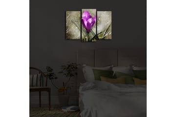 Dekorativ Canvasmålning LED-belysning 3 Delar - Flerfärgad - Inredning - Tavlor & posters - Canvastavla