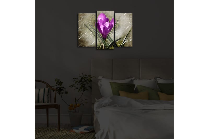 Dekorativ Canvasmålning LED-belysning 3 Delar - Flerfärgad - Inredning - Tavlor & posters - Canvastavla