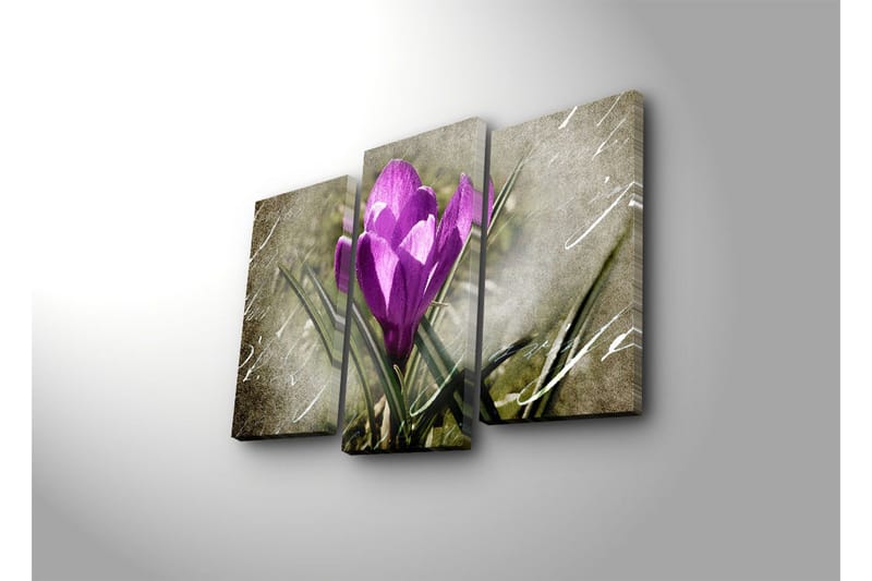 Dekorativ Canvasmålning LED-belysning 3 Delar - Flerfärgad - Inredning - Tavlor & posters - Canvastavla