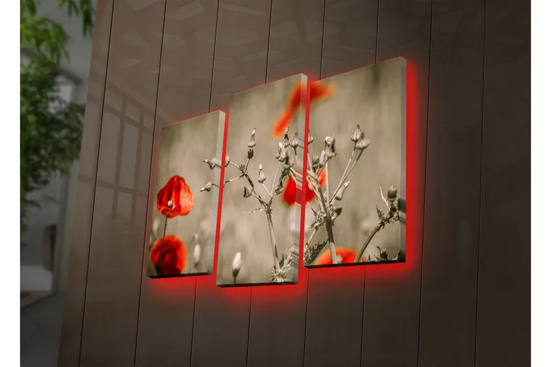 Dekorativ Canvasmålning LED-belysning 3 Delar - Flerfärgad - Inredning - Tavlor & posters - Canvastavla
