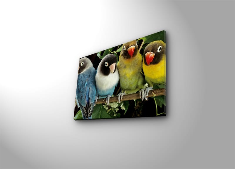 Dekorativ Canvastavla 28x38 cm - Flerfärgad - Inredning - Tavlor & posters - Canvastavla