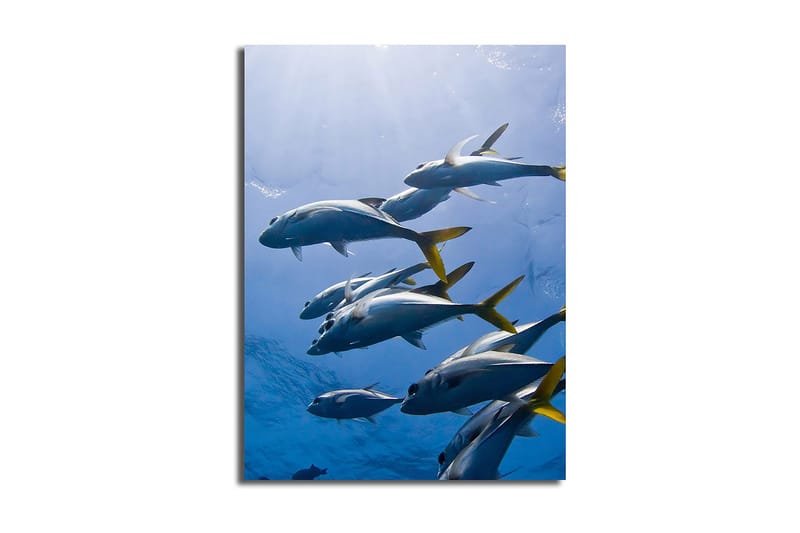 Dekorativ Canvastavla 28x38 cm, Flerfärgad