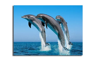 Dekorativ Canvastavla 28x38 cm - Flerfärgad - Inredning - Tavlor & posters - Canvastavla