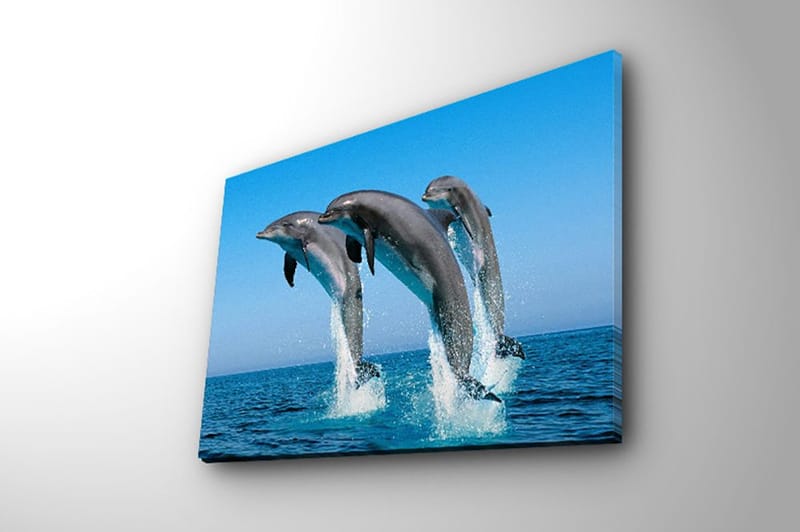 Dekorativ Canvastavla 28x38 cm - Flerfärgad - Inredning - Tavlor & posters - Canvastavla