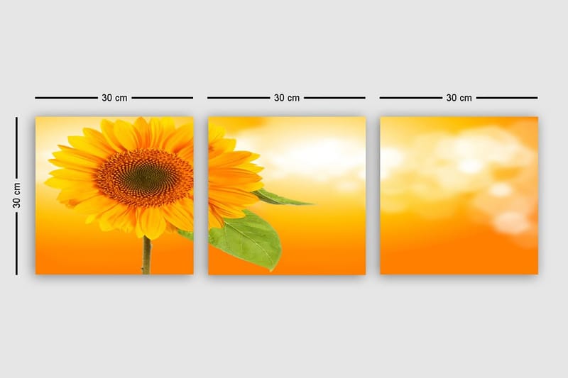 Dekorativ Canvastavla 3-Delar 30x30 cm - Flerfärgad - Inredning - Tavlor & posters - Canvastavla