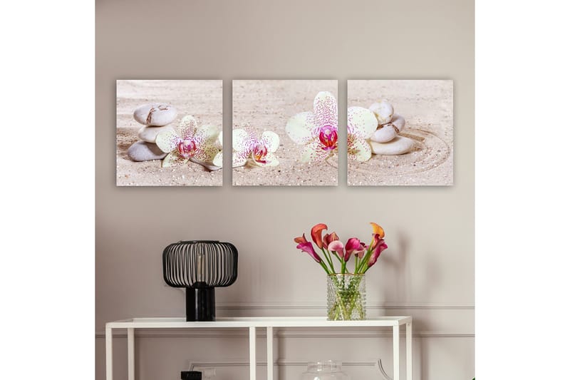 Dekorativ Canvastavla 3-Delar 30x30 cm, Flerfärgad