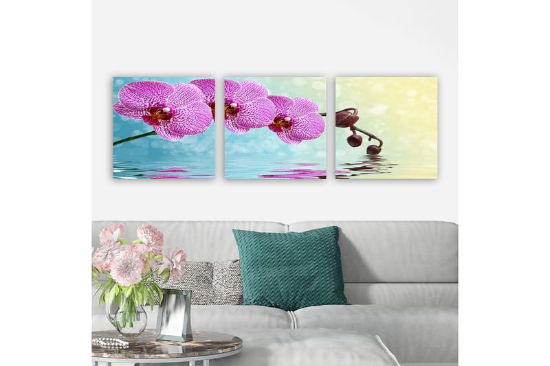 Dekorativ Canvastavla 3-Delar 30x30 cm - Flerfärgad - Inredning - Tavlor & posters - Canvastavla