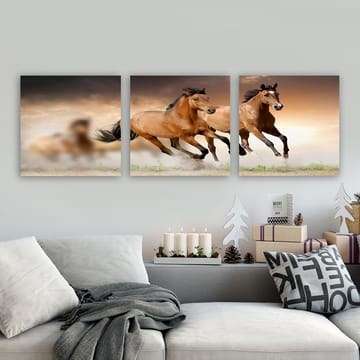 Dekorativ Canvastavla 3-Delar 30x30 cm - Flerfärgad - Inredning - Tavlor & posters - Canvastavla
