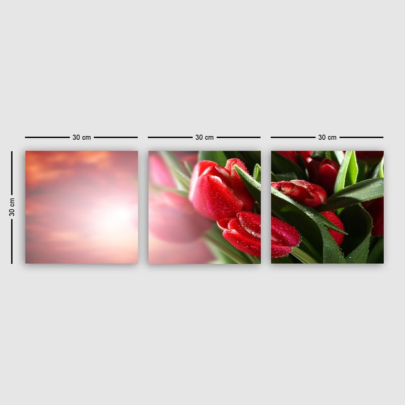 Dekorativ Canvastavla 3-Delar 30x30 cm - Flerfärgad - Inredning - Tavlor & posters - Canvastavla