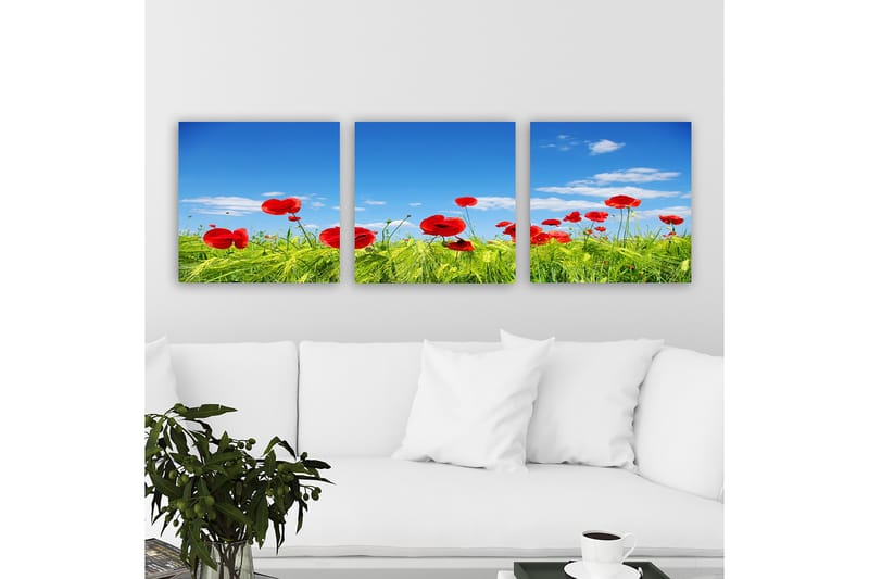 Dekorativ Canvastavla 3-Delar 30x30 cm - Flerfärgad - Inredning - Tavlor & posters - Canvastavla