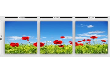 Dekorativ Canvastavla 3-Delar 30x30 cm - Flerfärgad - Inredning - Tavlor & posters - Canvastavla